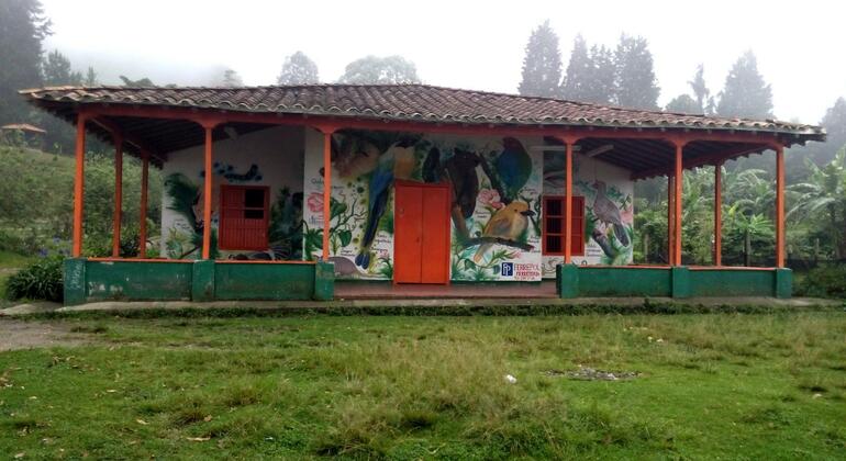 Trekking Sabaneta: El Romeral Colombia — #2