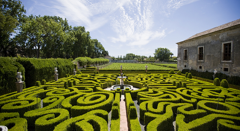 portuguese-wine-private-tour-from-lisbon-es-1