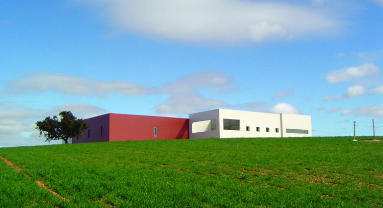 portuguese-wine-private-tour-from-lisbon-es-6