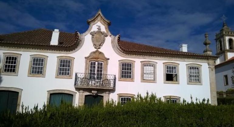 portuguese-wine-private-tour-from-lisbon-es-8