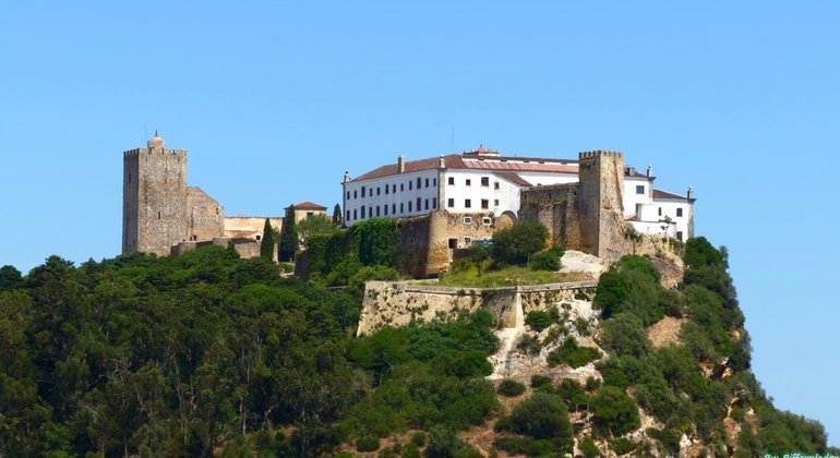 portuguese-wine-private-tour-from-lisbon-es-9
