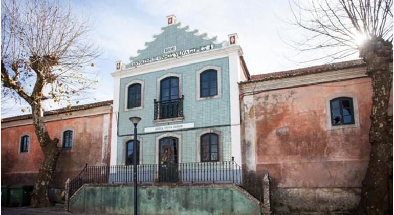 portuguese-wine-private-tour-from-lisbon-es-10