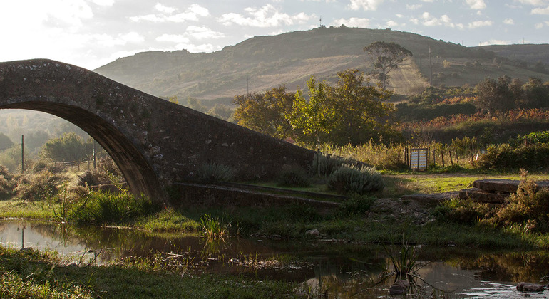 portuguese-wine-private-tour-from-lisbon-es-12