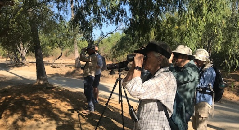 Paseo por la naturaleza y observación de aves por el estuario de San José, Mexico