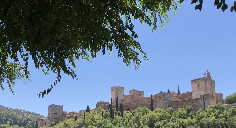 Visite historique gratuite de Grenade Fournie par Granada Magic Tours