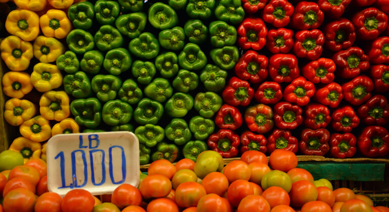 Visita à cidade: Coração da Capital Colômbia — #2