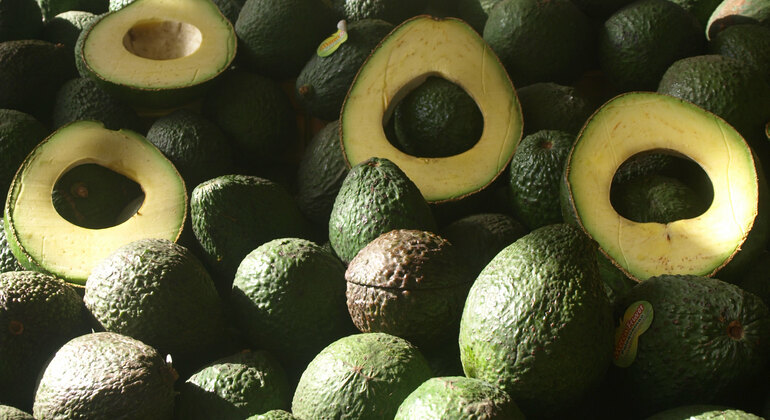 Visita à cidade: Coração da Capital Colômbia — #11