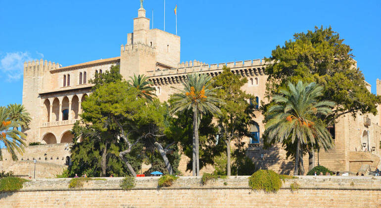 Private Tour Palma Experience Spain — #6