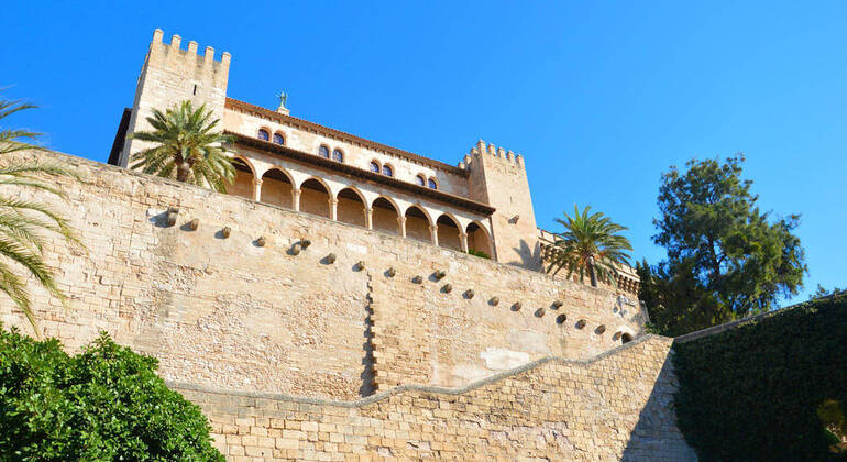 Private Tour Palma Experience Spain — #7