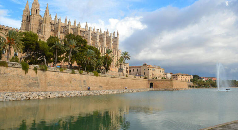 Private Tour Palma Experience Spain — #8