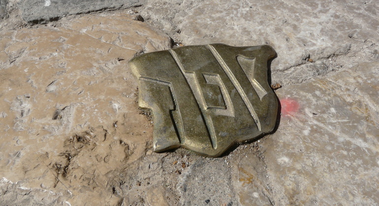 Private Tour Palma Experience Spain — #9