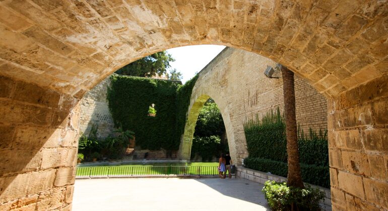 Private Tour Palma Experience Spain — #16
