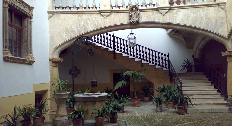 Private Tour Palma Experience Spain — #19