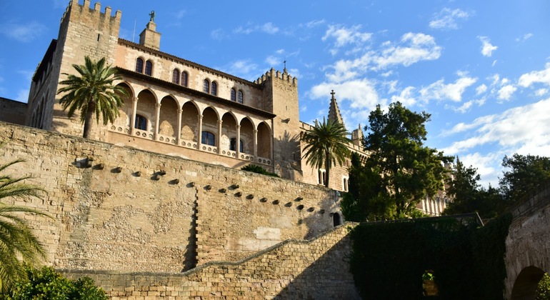 Private Tour Palma Experience Spain — #20