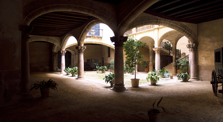 Private Tour Palma Experience Spain — #21