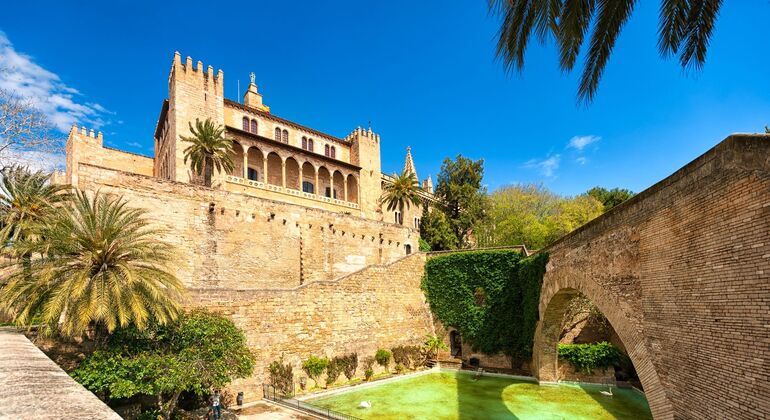 Private Tour Palma Experience Spain — #22