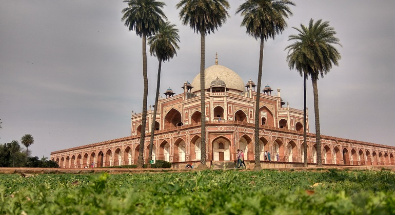 Instagrammable Delhi Tour Operado por Delhi Bike Tours