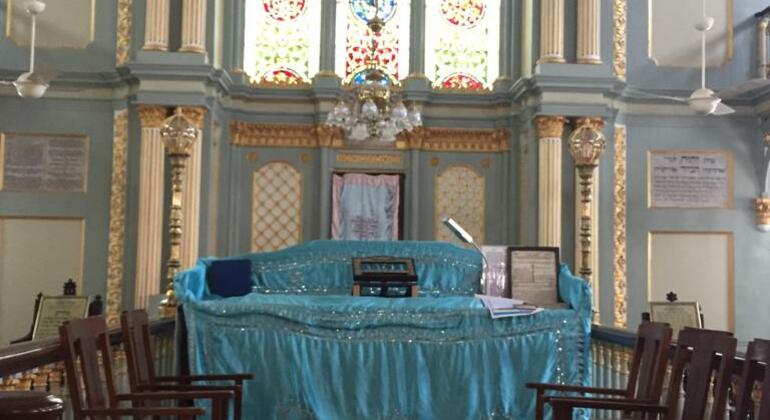 Visita privada al patrimonio judío India — #3