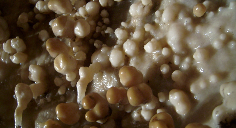 Tour a piedi in due grotte di Budapest Ungheria — #4