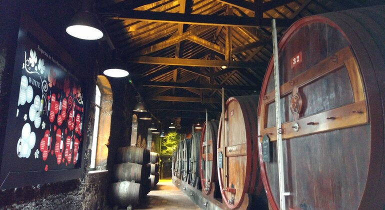 port-wine-tour-en-6