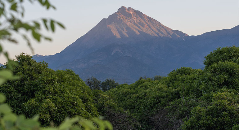 Parque Nacional La Campana Caminhada de um dia