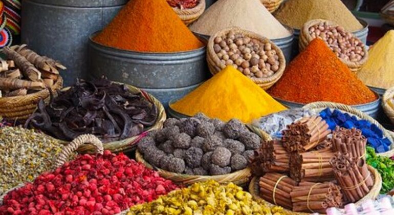 free-tour-through-the-history-of-marrakech-es-11