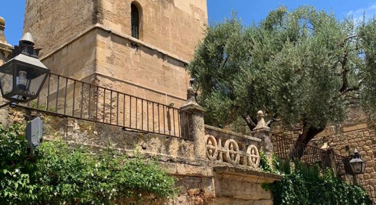 Visita guidata privata dell'Alcázar dei Re Cristiani Spagna &mdash; #2