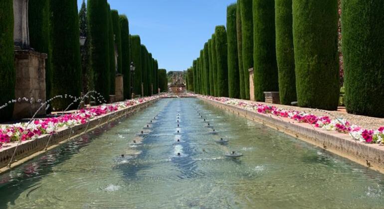 Visita guidata privata dell'Alcázar dei Re Cristiani Spagna &mdash; #3