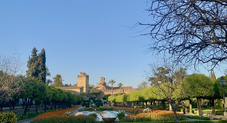Visita guidata privata dell'Alcázar dei Re Cristiani Spagna &mdash; #4