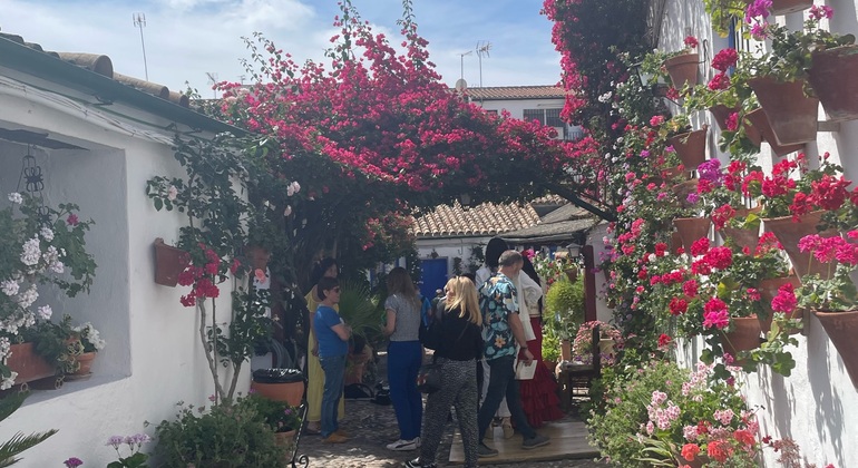 Visita guidata privata dell'Alcázar dei Re Cristiani Spagna &mdash; #5