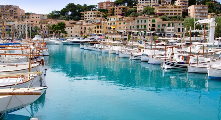 Private Tour: Soller Valley + Puerto de Soller with Lunch