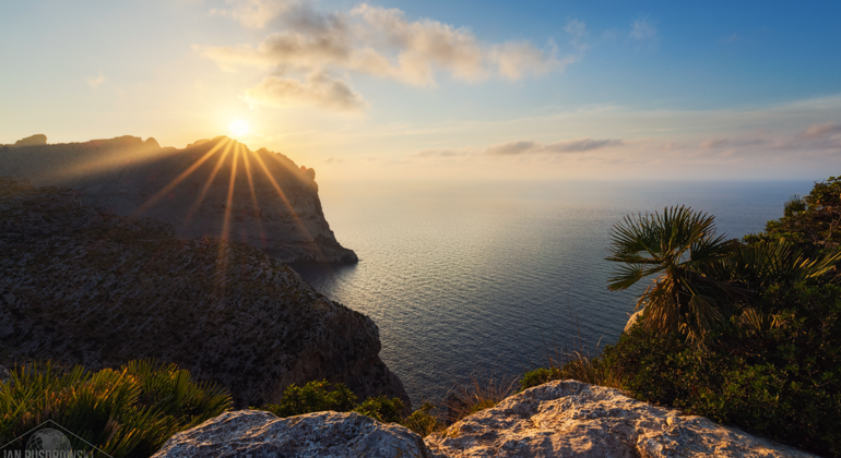 Private Tour: Valldemossa & Puerto de Soller mit Paella und Getränken