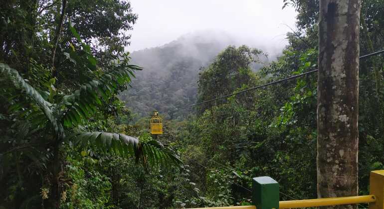 Mindo - Réserve de biosphère de Chocó Andino, Ecuador