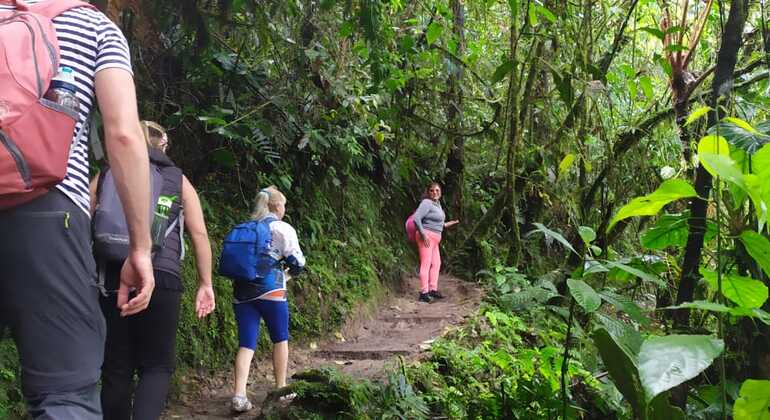 mindo-biosphere-reserve-of-choco-andino-en-3