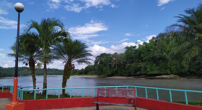 Misahualli: Indigenous Community in Ecuadorian Amazon Provided by Johan Caruci