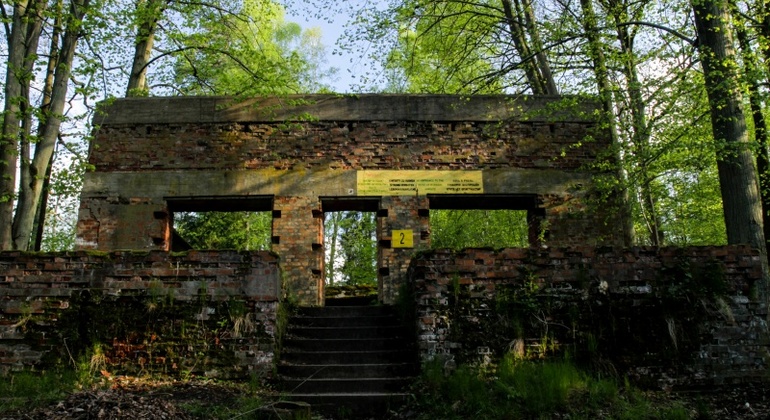 Wolfsschanze Tagestour