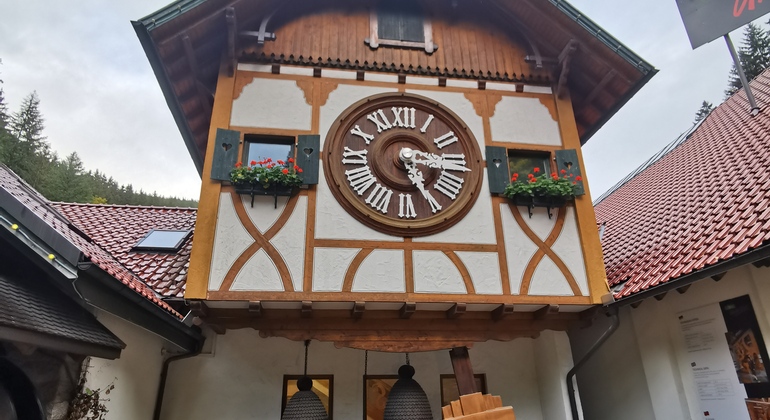 Tour de Senderismo en Triberg (Selva Negra, Alemania)