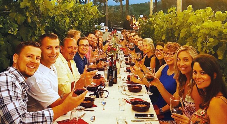 Dinner in the Chianti vineyards Italy &mdash; #3