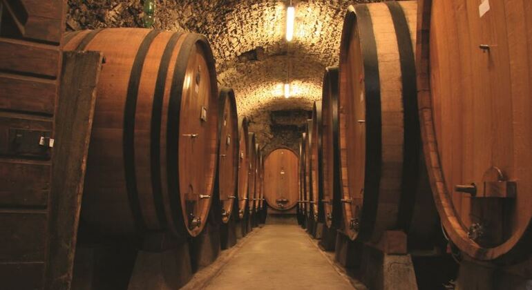 Dinner in the Chianti vineyards Italy &mdash; #4