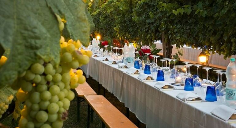 Dinner in the Chianti vineyards Italy &mdash; #5