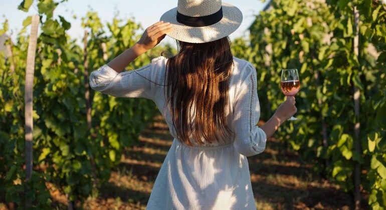 Dinner in the Chianti vineyards Italy &mdash; #6