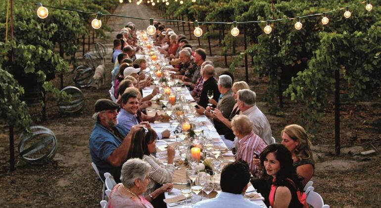 Dinner in the Chianti vineyards Italy &mdash; #7