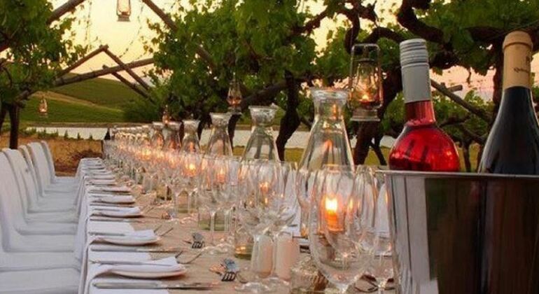 Dinner in the Chianti vineyards Italy &mdash; #8