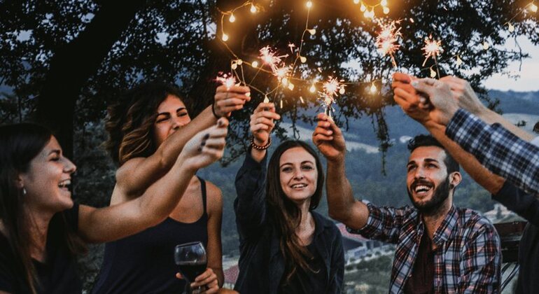 Dinner in the Chianti vineyards Italy &mdash; #9