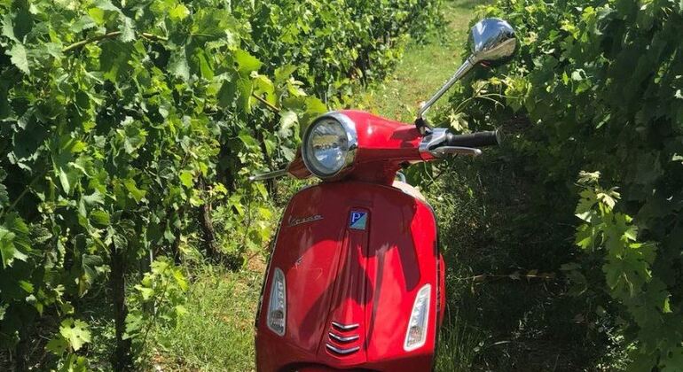 Tour in Vespa e Chianti Italia — #7