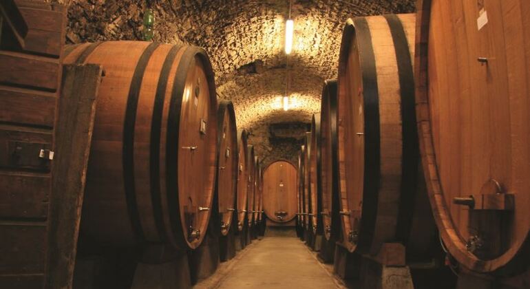 500 Vintage Chianti Roads Italy — #8