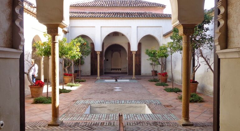 Visite guidée du théâtre romain et de l'Alcazaba de Malaga