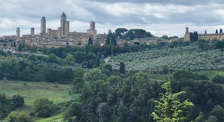 pisa-half-day-tour-with-leaning-tower-es-6