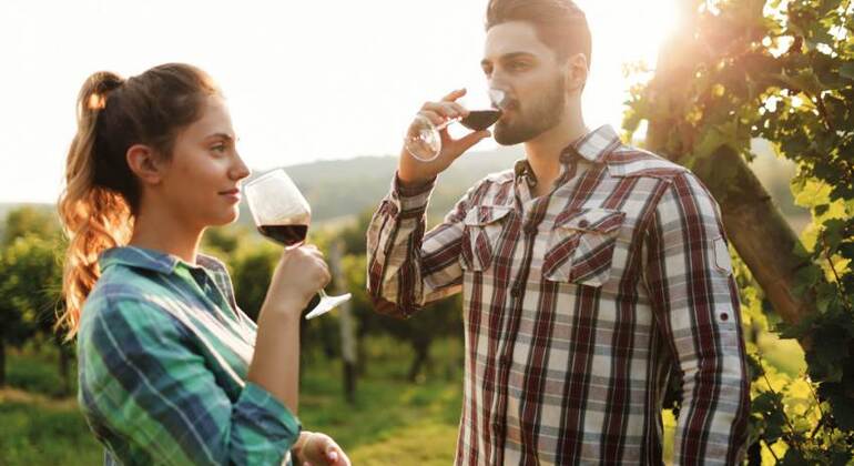 Toscana en un día Italia — #11