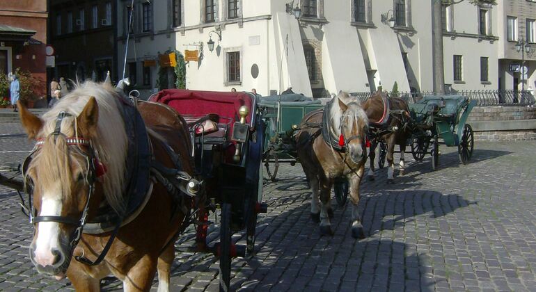 Öffentliche Stadtführung durch die Warschauer Altstadt Polen &mdash; #3